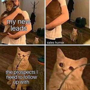 50 funny sales memes